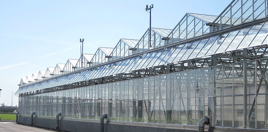 Steel Framework & Structure